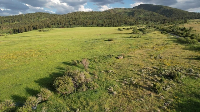 TBD Mount Ellis Lane, Bozeman, MT 59715 - photo 3