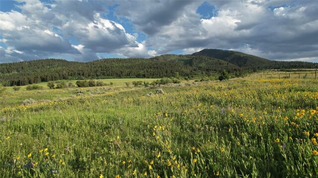 TBD Mount Ellis Lane, Bozeman, MT 59715 - photo 5