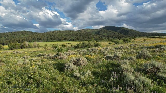 TBD Mount Ellis Lane, Bozeman, MT 59715 - photo 10