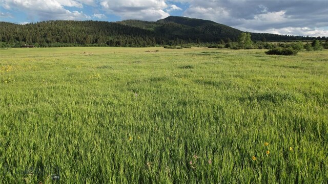 TBD Mount Ellis Lane, Bozeman, MT 59715 - photo 19
