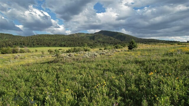 TBD Mount Ellis Lane, Bozeman, MT 59715 - photo 24