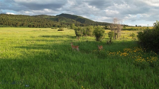 TBD Mount Ellis Lane, Bozeman, MT 59715 - photo 26