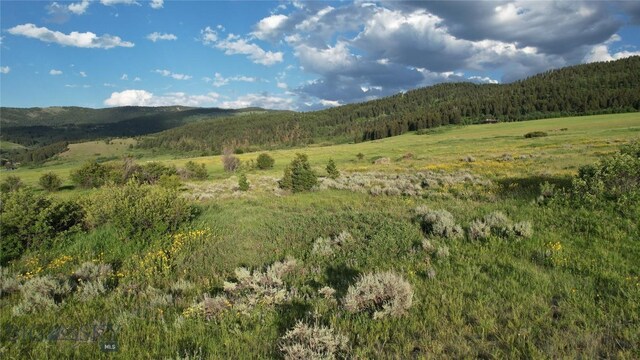 TBD Mount Ellis Lane, Bozeman, MT 59715 - photo 56