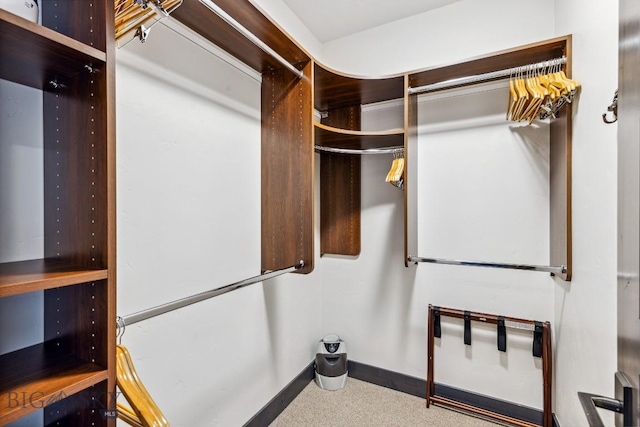 146 Outlook Trl, Big Sky, MT 59716 - view of walk in closet