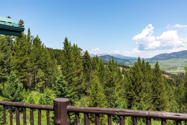 1099 Winchester, Bozeman, MT 59715 - photo 59