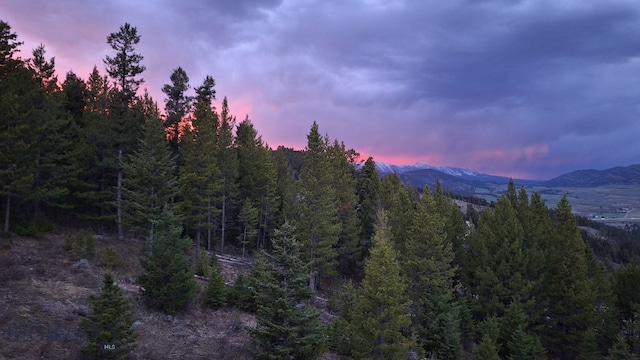 1099 Winchester, Bozeman, MT 59715 - photo 60