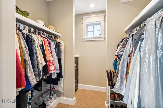 33 Oasis Trl, Bozeman, MT 59718 - spacious closet featuring light carpet