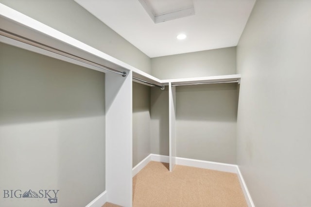 33 Oasis Trl, Bozeman, MT 59718 - walk in closet with light colored carpet and attic access
