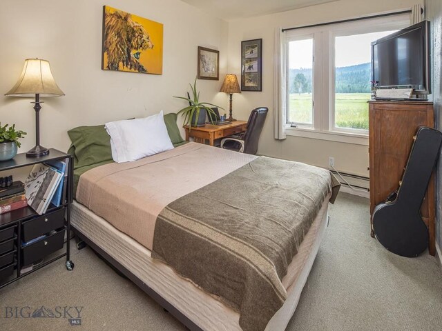 20 Yellowstone Spur Rd Unit 20A, Big Sky, MT 59716 - bedroom with carpet and a baseboard heating unit