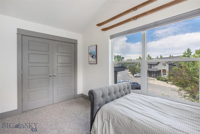 26 Locomotive Loop, Bozeman, MT 59718 - carpeted bedroom with vaulted ceiling and a closet