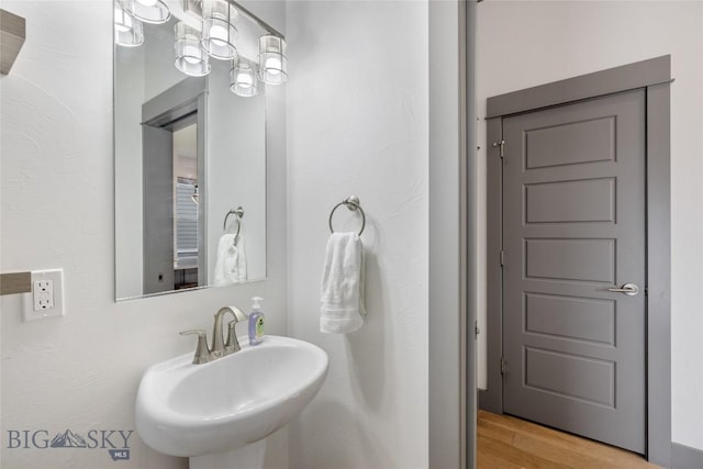 26 Locomotive Loop, Bozeman, MT 59718 - bathroom with a sink and wood finished floors