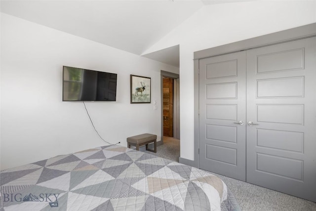 26 Locomotive Loop, Bozeman, MT 59718 - carpeted bedroom featuring lofted ceiling and a closet
