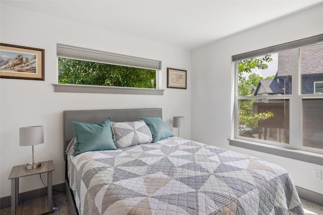 26 Locomotive Loop, Bozeman, MT 59718 - bedroom with multiple windows and carpet flooring