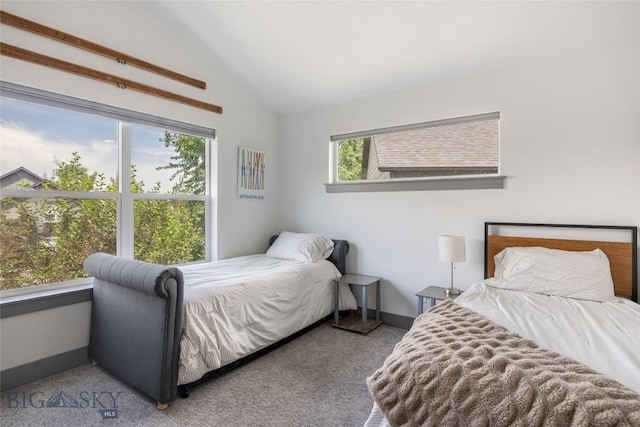 26 Locomotive Loop, Bozeman, MT 59718 - bedroom featuring lofted ceiling and carpet flooring