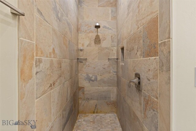 425 S Yellowstone St, Livingston, MT 59047 - full bathroom with tiled shower
