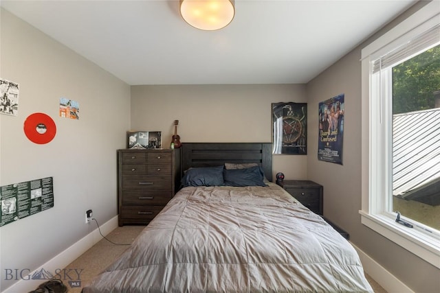 425 S Yellowstone St, Livingston, MT 59047 - bedroom with carpet flooring