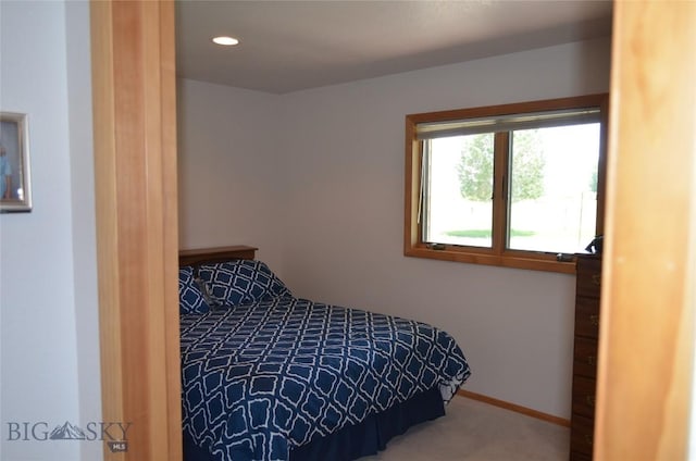 5 Ginger Quill Ct, Mcallister, MT 59740 - carpeted bedroom with baseboards and recessed lighting