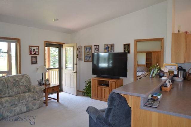 5 Ginger Quill Ct, Mcallister, MT 59740 - living room featuring light colored carpet