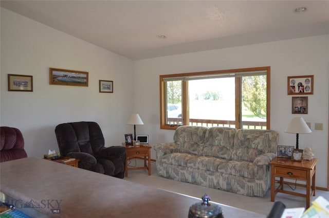 5 Ginger Quill Ct, Mcallister, MT 59740 - living area with carpet flooring