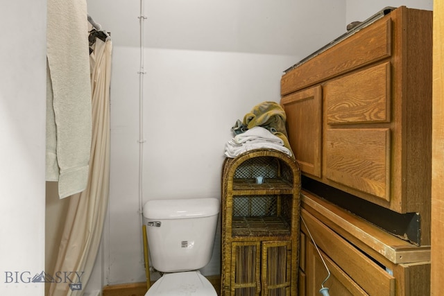 250 Silver Run Rd, Gallatin Gateway, MT 59730 - bathroom with toilet and a shower with curtain
