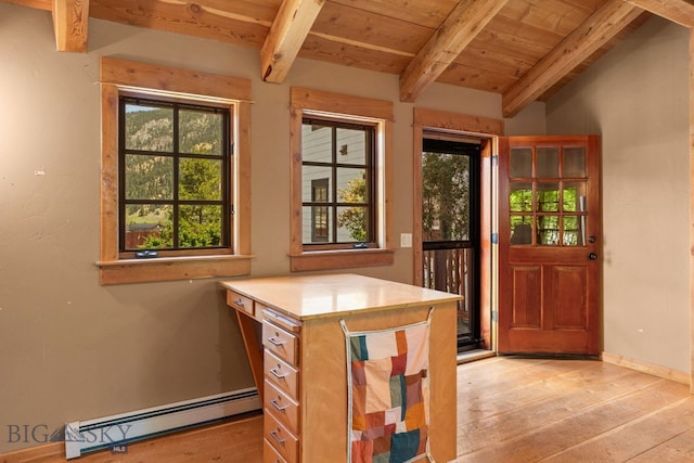 250 Silver Run Rd, Gallatin Gateway, MT 59730 - interior space with a baseboard heating unit, light wood-style floors, and wooden ceiling