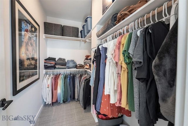 3083 S 27th Ave, Bozeman, MT 59718 - walk in closet featuring carpet
