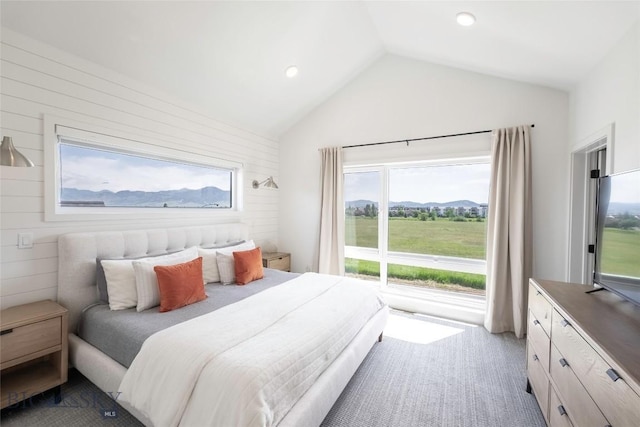 3083 S 27th Ave, Bozeman, MT 59718 - bedroom with lofted ceiling, multiple windows, and recessed lighting