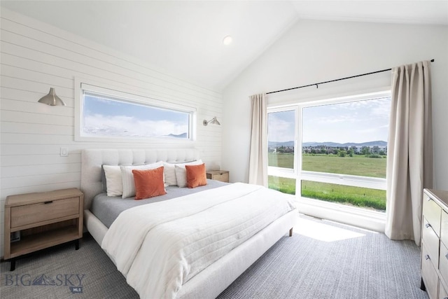 3083 S 27th Ave, Bozeman, MT 59718 - bedroom with vaulted ceiling, a mountain view, recessed lighting, and wood walls