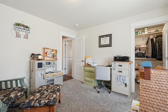 444 Highpark, Anaconda, MT 59711 - home office featuring carpet floors