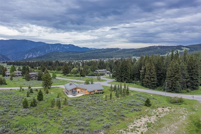 17 Chief Joseph Trl, Big Sky, MT 59716 - view of mountain background with a forest