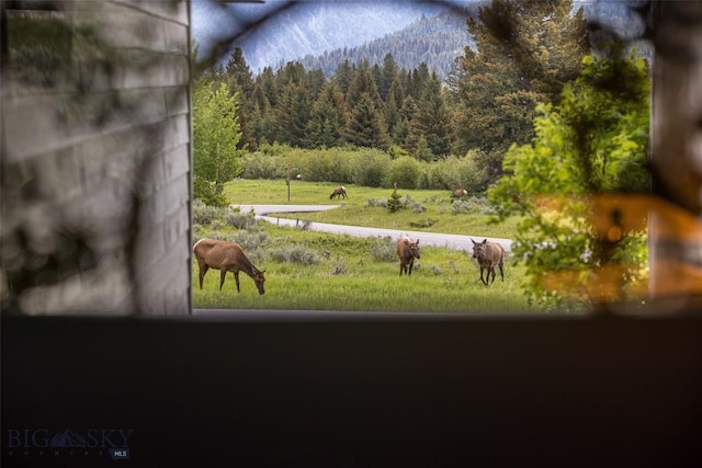 17 Chief Joseph Trl, Big Sky, MT 59716 - view of green lawn with a forest view