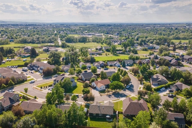 217 Lillian Way, Bozeman, MT 59718 - aerial view of residential area