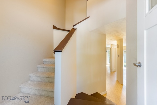 1725 W Koch St Unit 8, Bozeman, MT 59715 - photo 7