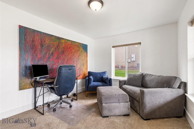 38 Red Rock, Bozeman, MT 59718 - view of carpeted home office