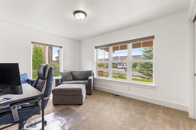 38 Red Rock, Bozeman, MT 59718 - carpeted office space featuring baseboards