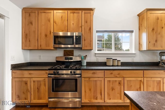 38 Red Rock, Bozeman, MT 59718 - kitchen with appliances with stainless steel finishes, dark countertops, and dark wood-type flooring