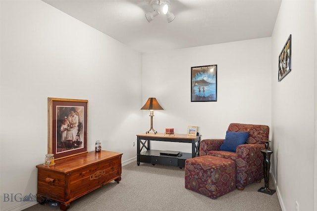 3849 Staffanson Rd, Bozeman, MT 59718 - photo 45