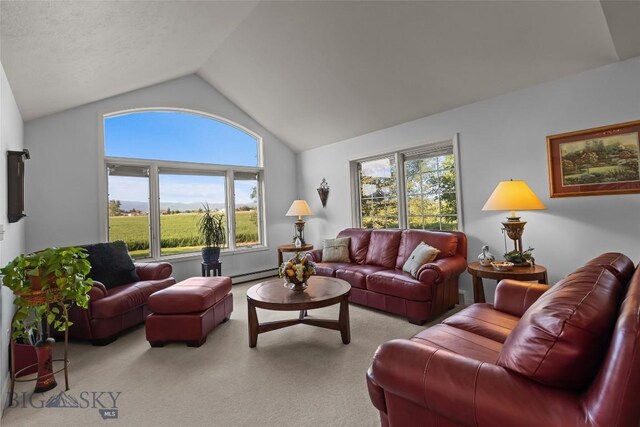 3849 Staffanson Rd, Bozeman, MT 59718 - photo 33