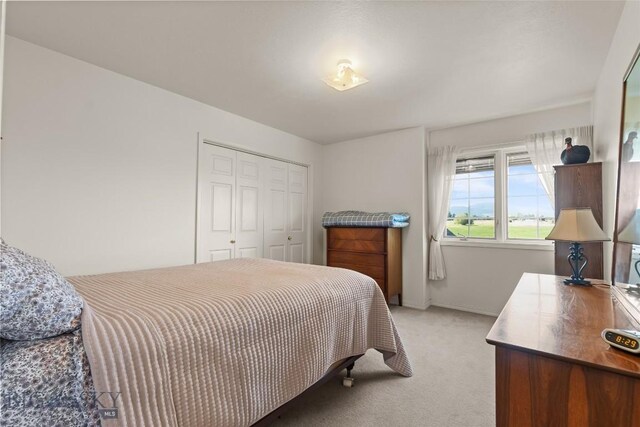 3849 Staffanson Rd, Bozeman, MT 59718 - photo 43