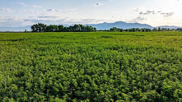3849 Staffanson Rd, Bozeman, MT 59718 - photo 13