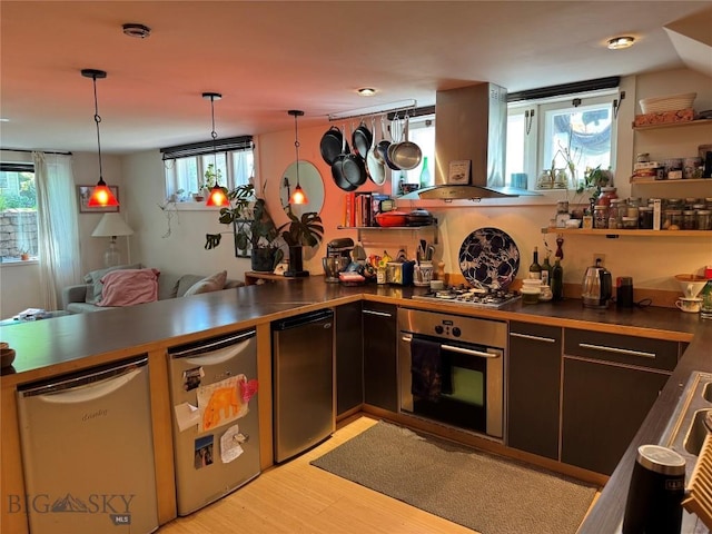 815 S 6th Ave, Bozeman, MT 59715 - kitchen featuring appliances with stainless steel finishes, island range hood, dark countertops, light wood-style flooring, and decorative light fixtures