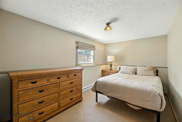 11 N Yellowstone Ave, Bozeman, MT 59718 - bedroom featuring a baseboard radiator, light carpet, and a textured ceiling