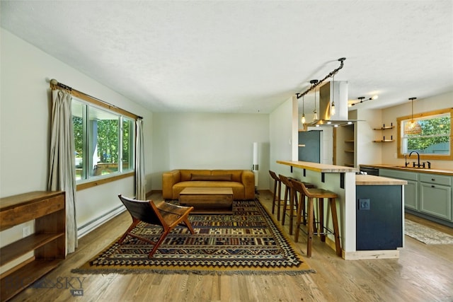 11 N Yellowstone Ave, Bozeman, MT 59718 - living room with a baseboard heating unit, wood finished floors, and a textured ceiling