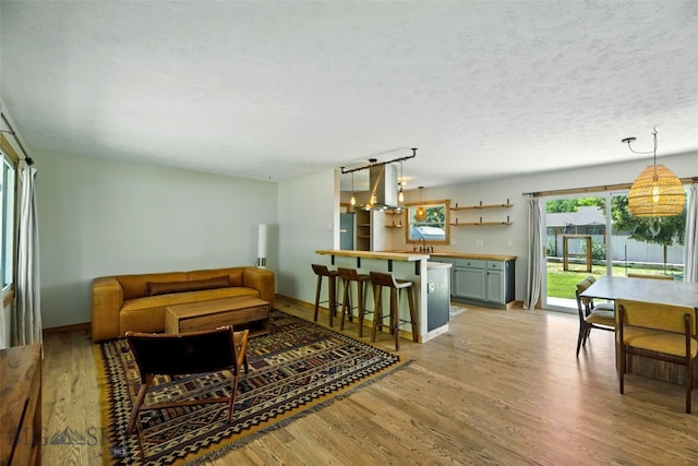 11 N Yellowstone Ave, Bozeman, MT 59718 - living room featuring light wood-style flooring and a textured ceiling