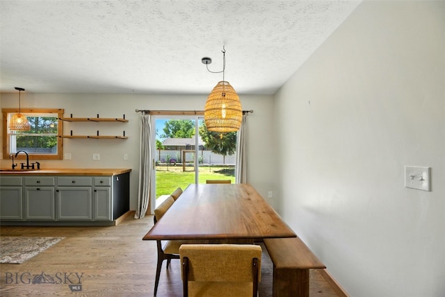 11 N Yellowstone Ave, Bozeman, MT 59718 - dining room featuring light wood-style floors, plenty of natural light, and a textured ceiling