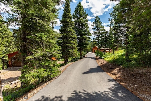 11540 Taiga Trl, Bozeman, MT 59715 - view of asphalt driveway featuring a wooded view