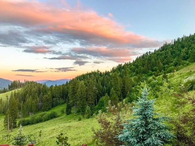 11540 Taiga Trl, Bozeman, MT 59715 - view of wooded area featuring a mountain view