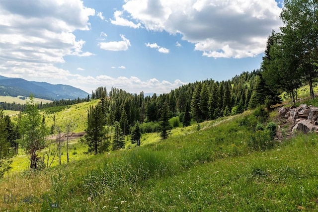 11540 Taiga Trl, Bozeman, MT 59715 - view of nature with mountains