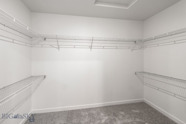 402 W Manhattan Ave Unit B, Manhattan, MT 59741 - walk in closet with carpet floors