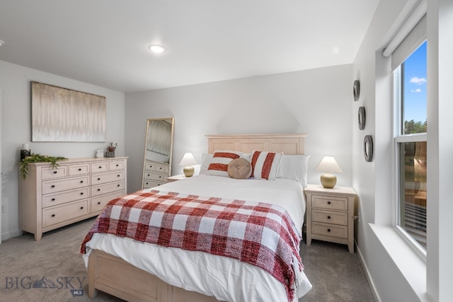 402 W Manhattan Ave Unit B, Manhattan, MT 59741 - view of carpeted bedroom